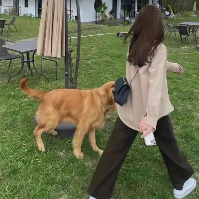 终极歼灭者